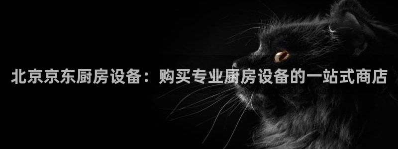 尊龙凯时登入首页：北京京东厨房设备：购买专业厨房设备的一站式