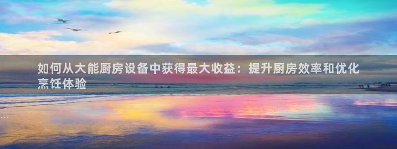 尊龙品牌怎么样：如何从大能厨房设备中获得最大收益：提升厨房效