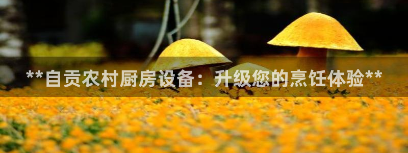 尊龙官方网址：**自贡农村厨房设备：升级您的烹饪体验**