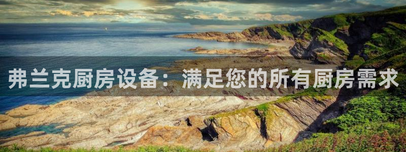 尊龙凯时电竞：弗兰克厨房设备：满足您的所有厨房需求