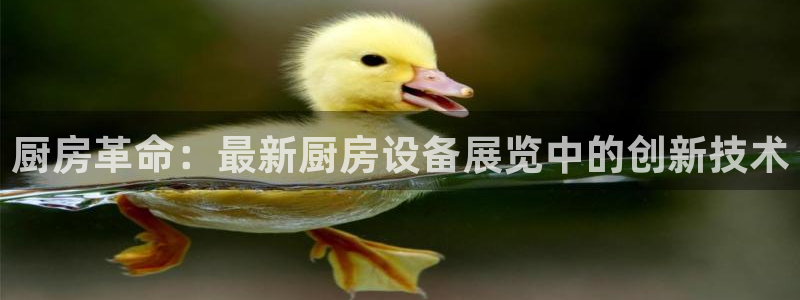 尊龙人生就是博ag：厨房革命：最新厨房设备展览中的创新技术