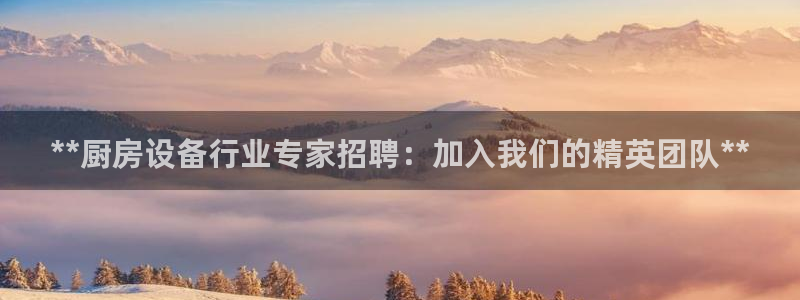 尊龙d88现金可来就送38：**厨房设备行业专家招聘：加入我