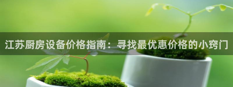 d88尊龙可靠送38元：江苏厨房设备价格指南：寻找最优惠价格