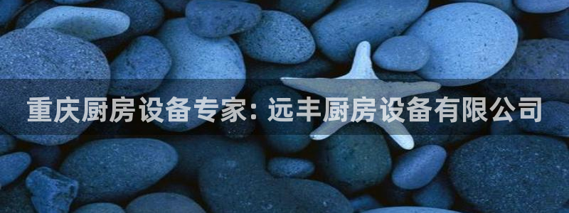 尊龙人生就是博官网登录手机：重庆厨房设备专家: 远丰厨房设备