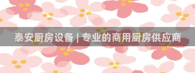 尊龙人生就是博首页：泰安厨房设备 | 专业的商用厨房供应商