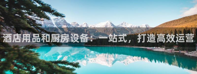 尊龙凯时账号异常审核提不了款怎么办：酒店用品和厨房设备：一站
