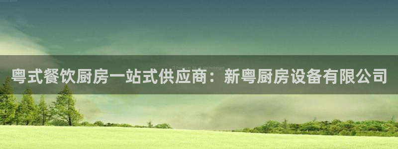 凯时k66官网登录：粤式餐饮厨房一站式供应商：新粤厨房设备有
