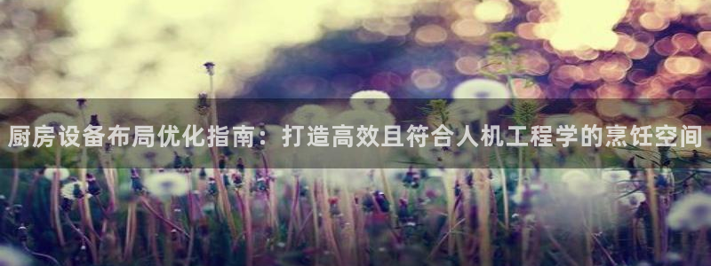 尊龙人品怎么样：厨房设备布局优化指南：打造高效且符合人机工程