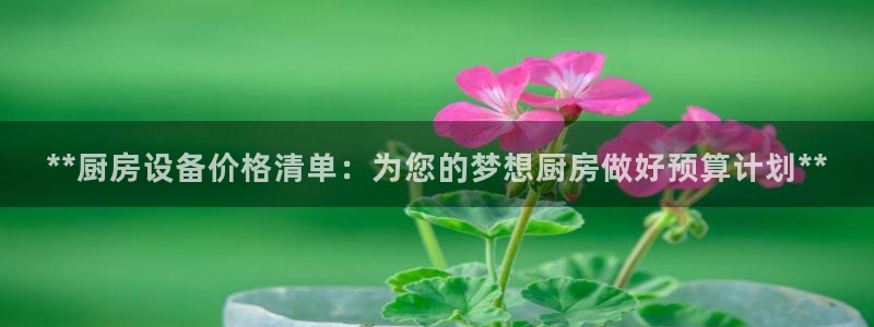 尊龙ag旗舰：**厨房设备价格清单：为您的梦想厨房做好预算计