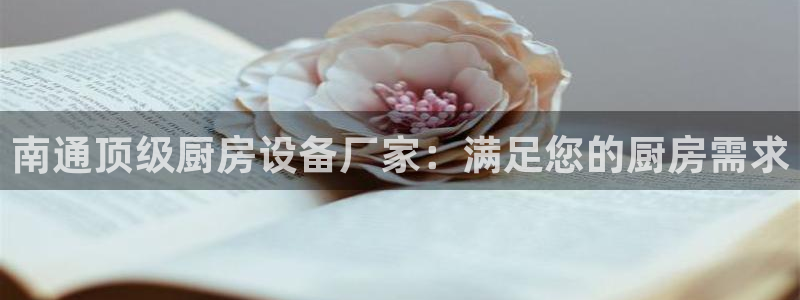凯时官网：南通顶级厨房设备厂家：满足您的厨房需求