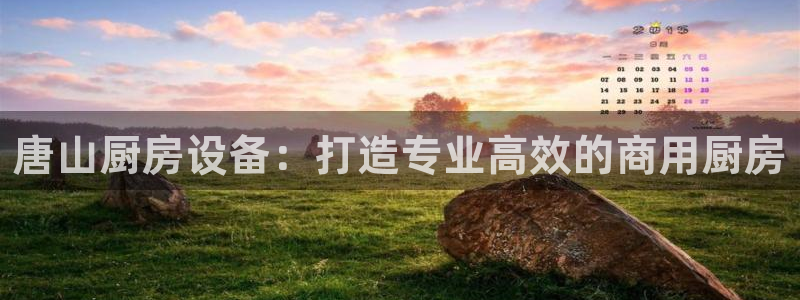 尊龙休闲e站怎么样：唐山厨房设备：打造专业高效的商用厨房
