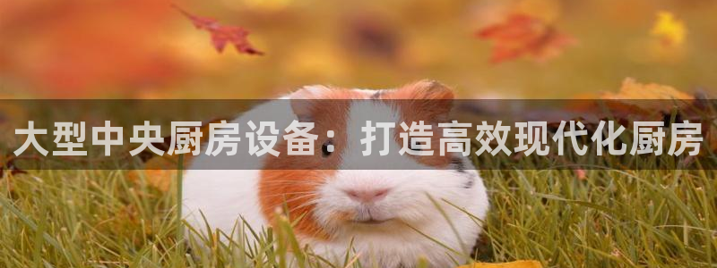 尊龙人生就是博d88 - Z6尊龙官方网站：大型中央厨房设备