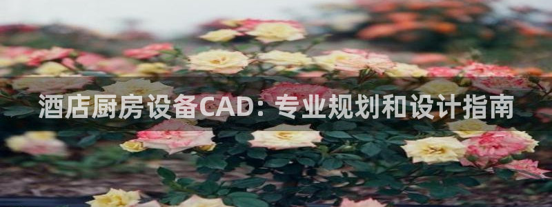 凯时官网下载客户端：酒店厨房设备CAD: 专业规划和设计指南