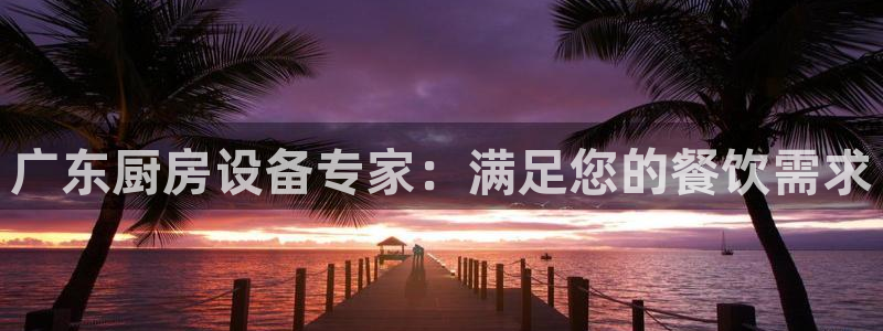 尊龙2016：广东厨房设备专家：满足您的餐饮需求