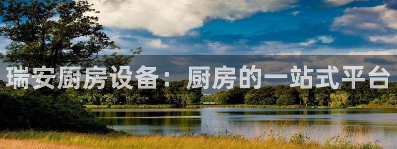 凯时APP官网首页：瑞安厨房设备：厨房的一站式平台