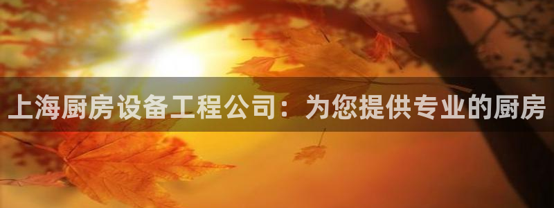 尊龙凯时注册入口：上海厨房设备工程公司：为您提供专业的厨房