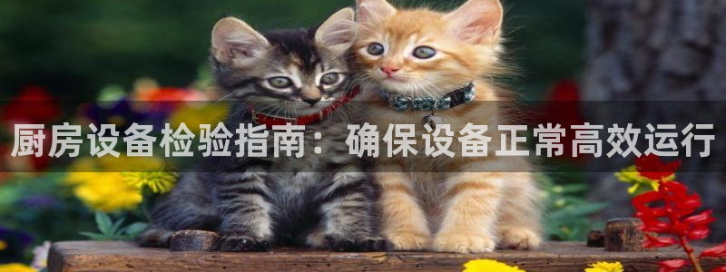尊龙游戏app官方网站：厨房设备检验指南：确保设备正常高效运