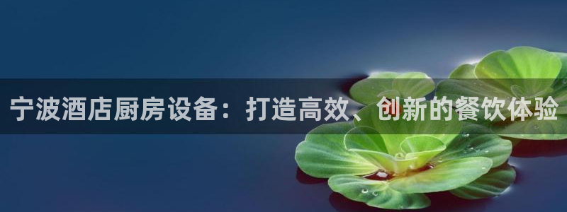 尊龙登录会员登录：宁波酒店厨房设备：打造高效、创新的餐饮体验