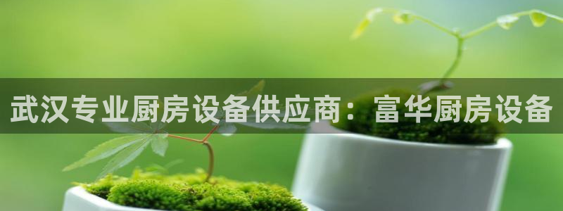 尊龙最新版：武汉专业厨房设备供应商：富华厨房设备