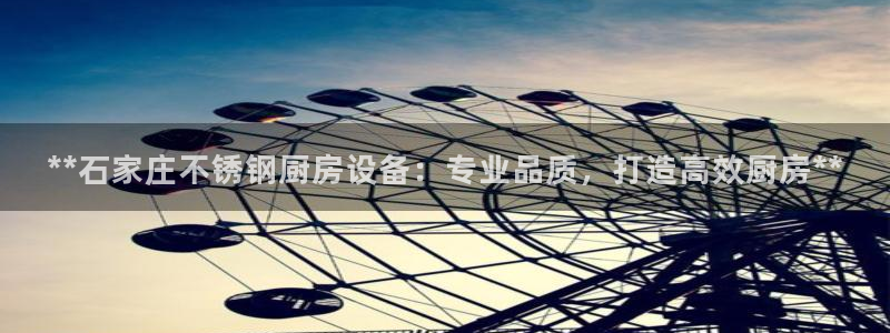 尊龙凯时 人生就是搏!：**石家庄不锈钢厨房设备：专业品质，