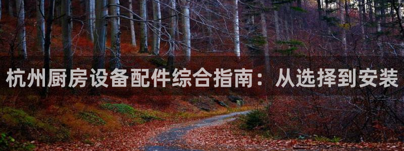 尊龙500价格：杭州厨房设备配件综合指南：从选择到安装