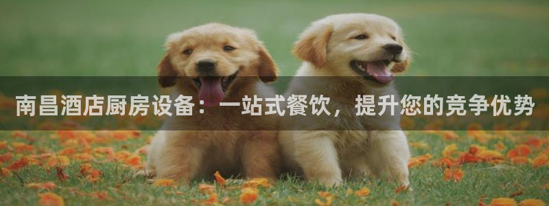 尊龙官网/首选kpm：南昌酒店厨房设备：一站式餐饮，提升您的