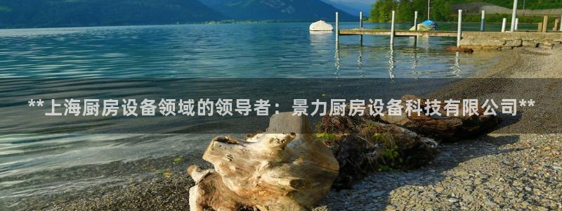 尊龙,人生就是博!登录国际：**上海厨房设备领域的领导者：景