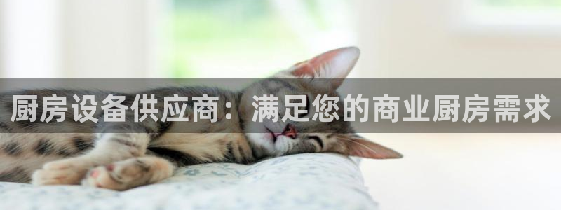 尊龙app|首选agdaohang：厨房设备供应商：满足您的