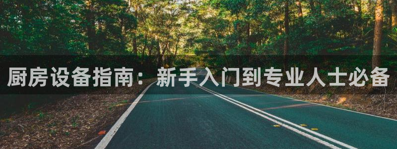 尊龙凯时存款不上分：厨房设备指南：新手入门到专业人士必备