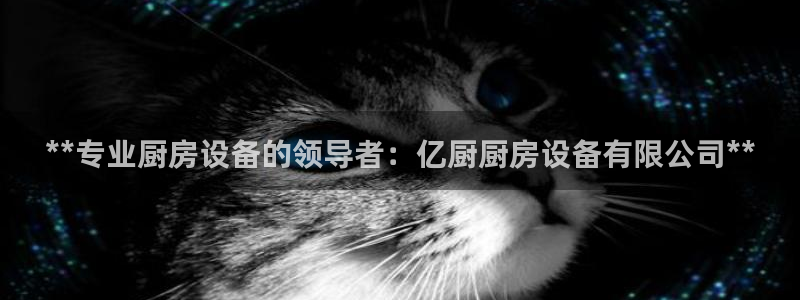 Z6尊龙官网入口：**专业厨房设备的领导者：亿厨厨房设备有限
