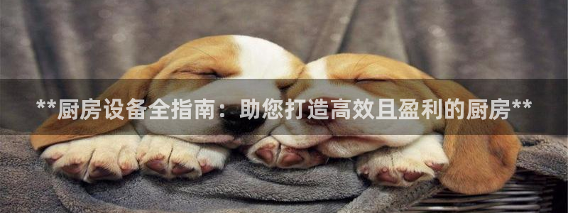 尊龙凯时存款多久到账：**厨房设备全指南：助您打造高效且盈利