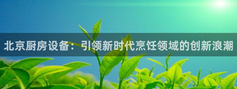 尊龙凯时人生就是博·(中国)：北京厨房设备：引领新时代烹饪领