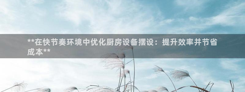 尊龙凯时新闻：**在快节奏环境中优化厨房设备摆设：提升效率并