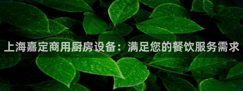 尊龙凯时官网：上海嘉定商用厨房设备：满足您的餐饮服务需求