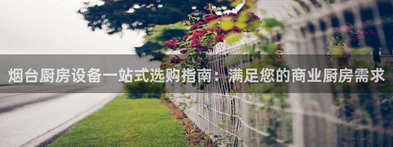ZL尊龙凯时集团：烟台厨房设备一站式选购指南：满足您的商业厨