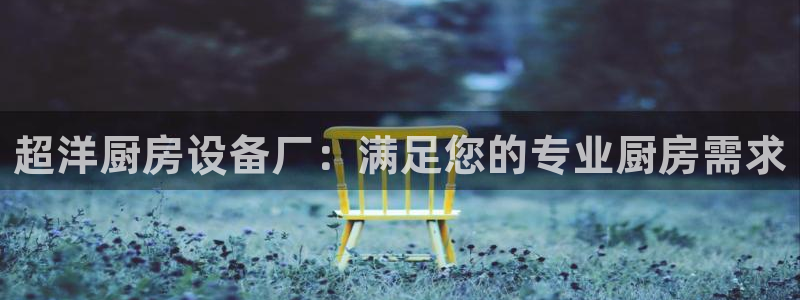 尊龙凯时游戏厅：超洋厨房设备厂：满足您的专业厨房需求