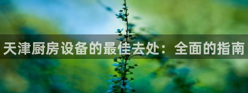 尊龙人生就是博登录：天津厨房设备的最佳去处：全面的指南