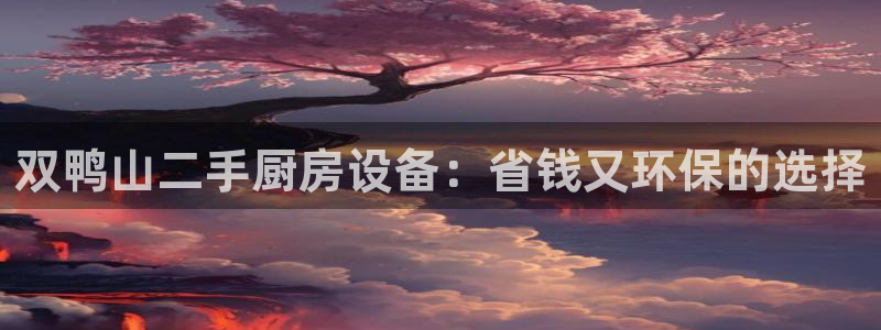 尊龙凯时品牌介绍：双鸭山二手厨房设备：省钱又环保的选择