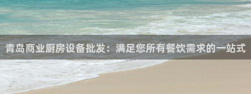 z6尊龙凯时官方：青岛商业厨房设备批发：满足您所有餐饮需求的