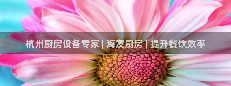 尊龙人生就是博菲律宾台子：杭州厨房设备专家 | 海友厨房 |