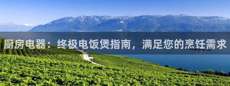 尊龙 中国：厨房电器：终极电饭煲指南，满足您的烹饪需求
