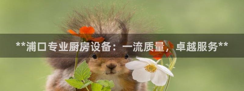 尊龙官网首页：**浦口专业厨房设备：一流质量，卓越服务**
