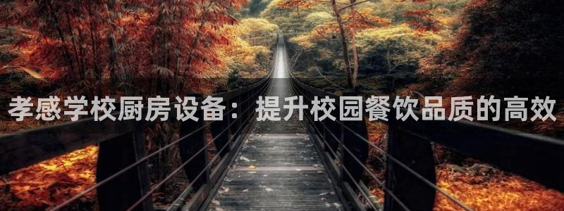 尊龙 国外：孝感学校厨房设备：提升校园餐饮品质的高效
