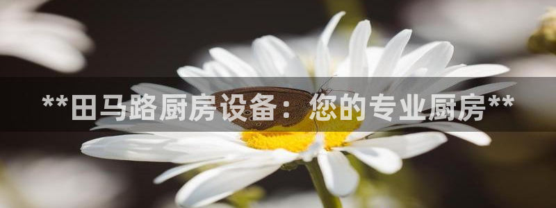 尊龙凯时logo：**田马路厨房设备：您的专业厨房**