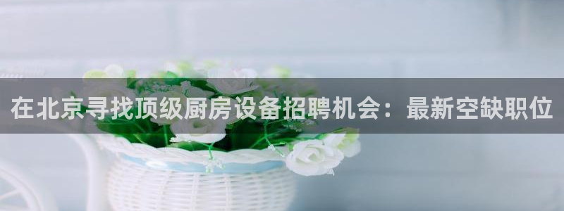 凯时官网联系方式：在北京寻找顶级厨房设备招聘机会：最新空缺职