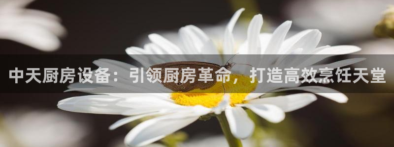 尊龙新版登录网址下载：中天厨房设备：引领厨房革命，打造高效烹