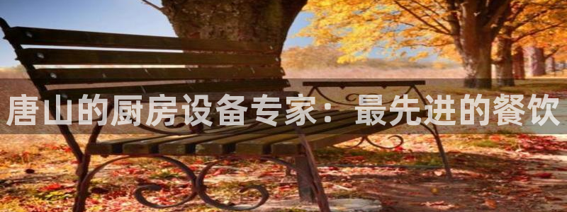 尊龙t300和t400哪个好：唐山的厨房设备专家：最先进的餐