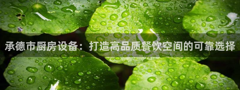 凯时尊龙平台登录：承德市厨房设备：打造高品质餐饮空间的可靠选