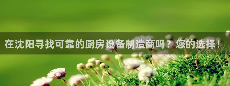 凯时网址多少：在沈阳寻找可靠的厨房设备制造商吗？您的选择！