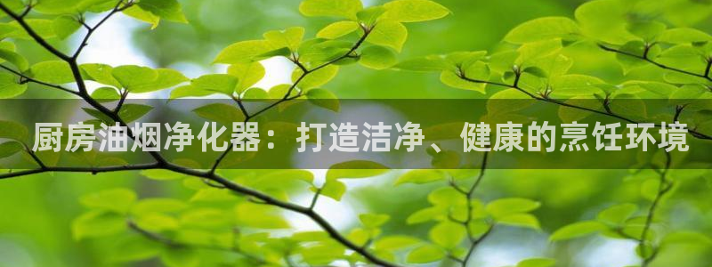 尊龙凯时是赌博嘛： 厨房油烟净化器：打造洁净、健康的烹饪环境
